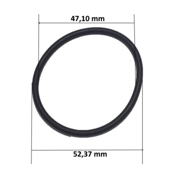 Tappo di scarico della doccia solare AstralPool 4401043621